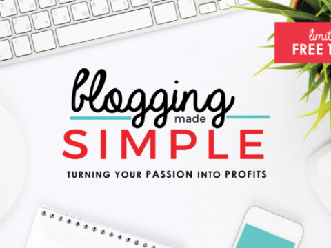 If you want to stand out in the blogosphere, you need to start from basics: Education. Click to learn about a FREE TRAINING for bloggers video series that might change everything!