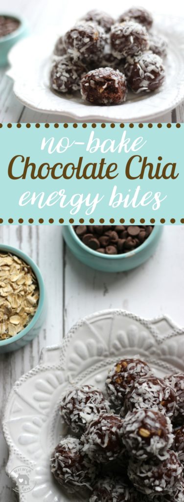These no-bake chocolate chia energy bites are nutritious, full of flavor and texture. Slightly sweetened with honey, and a touch of almond butter makes them creamy, and tasty. So tasty, it's hard to eat only one!