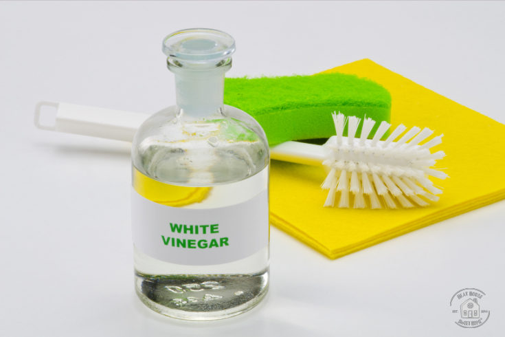 ingredients for homemade cleaners - white vinegar
