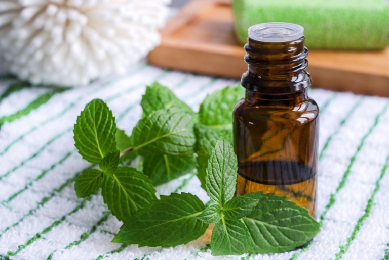 20 Uses For Peppermint Essential Oil