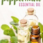 Peppermint oil is very versatile. Use it to deodorize your home, and treat common ailments. Here are 20 peppermint oil uses and its benefits. #peppermintoil #pepperminteo #homeremedies #neathousesweethome